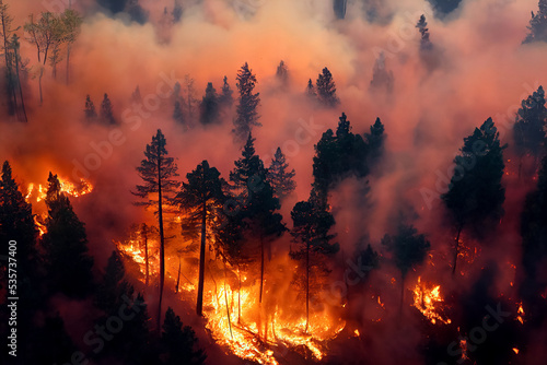 Forest fire, many acres of pine trees burn down during the dry season.  Wildfire burns in the forest.The concept of global cataclysms on earth. 