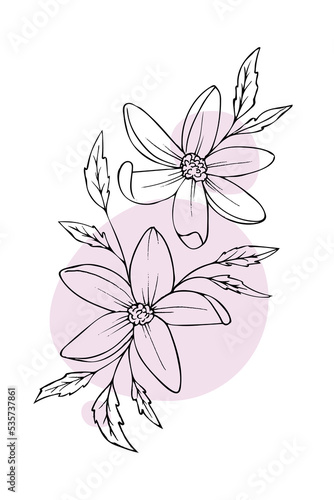 hand drawn sketch black and white leaves flower
