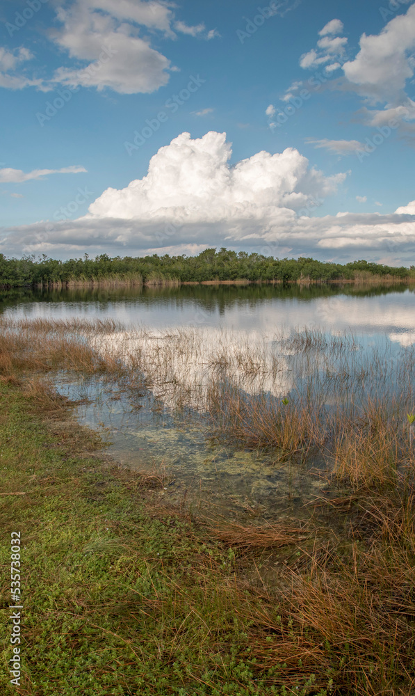 lake in the Everglades, Florida