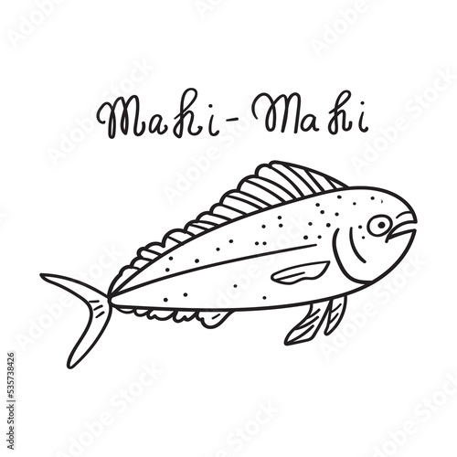 Mahi mahi. Fish. Outline hand drawn illustration. 