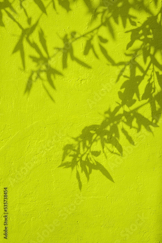 Abstract tree leaves shadows on greenish yellow concrete wall texture with roughness and irregularities. Abstract trendy nature concept background. Copy space for text overlay  poster mockup flat lay 