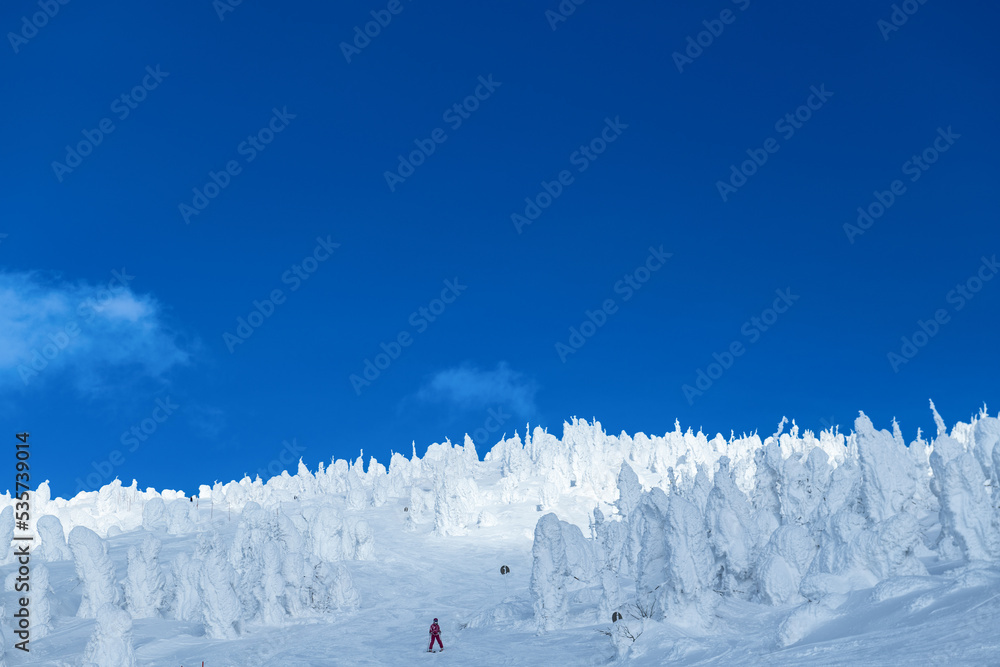 白銀世界の山形蔵王の樹氷とスキー場ゲレンデ Stock Photo Adobe Stock