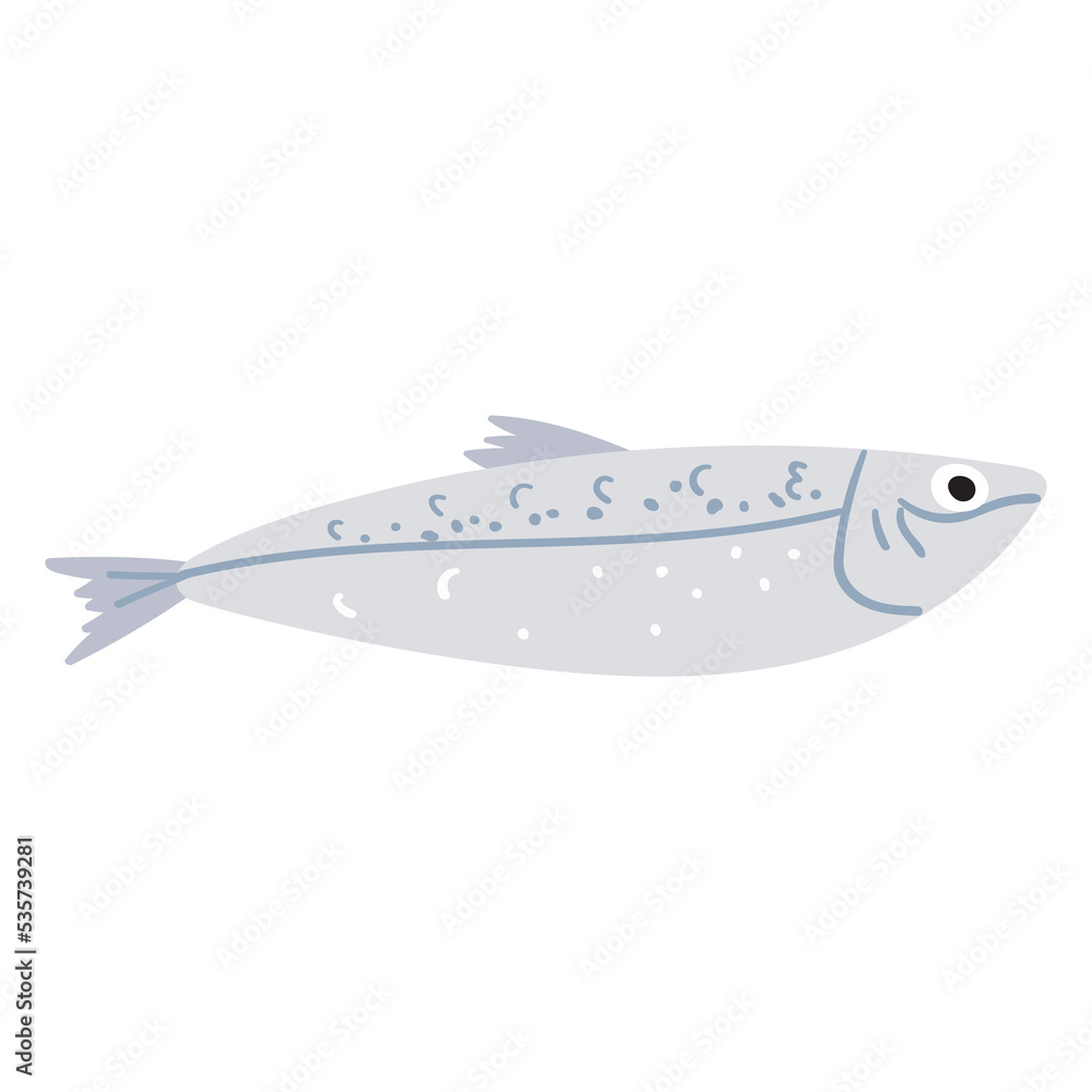Fototapeta premium Sardine. Flat vector illustration on white background.
