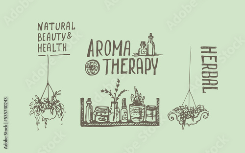 Aromatherapy Herbal Set. Vector Illustration.