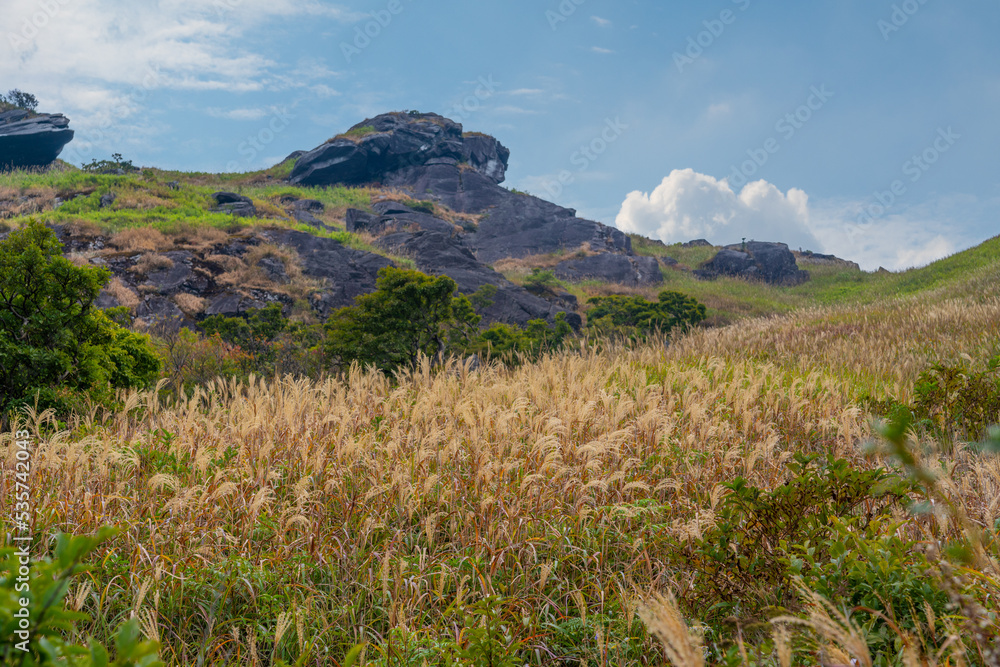 The early autumn scenery of Wugong Mountain Natural Scenic Area, Pingxiang, Jiangxi, China The early autumn scenery of Wugong Mountain Natural Scenic Area, Pingxiang, Jiangxi, China
