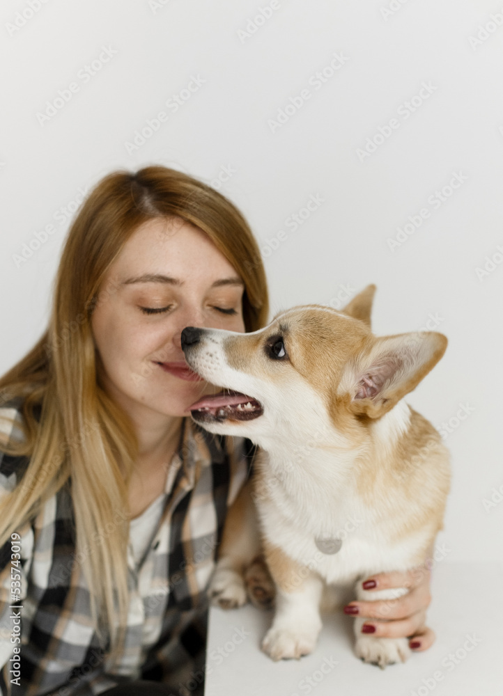 woman pet corgi dog plays teaches commands woman pet corgi dog plays teaches commands