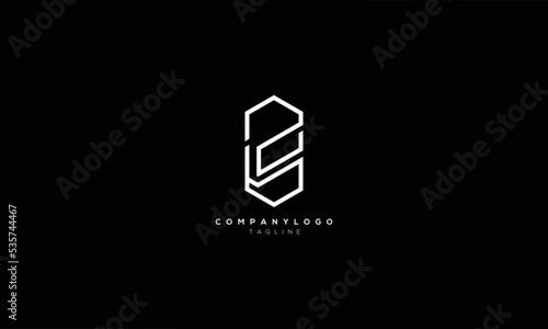 2B B2 Abstract initial monogram letter alphabet logo design