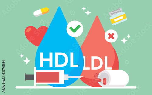 Types of cholesterol comparison with HDL and LDL. good (HDL) and bad (LDL) cholesterol. health and medical concept. vector illustration.