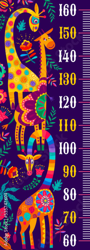 Kids height chart ruler with african giraffes and flowers. Kids height measure ruler, children growth meter or centimeter vector scale with giraffes characters, african ethnic jungle floral ornaments