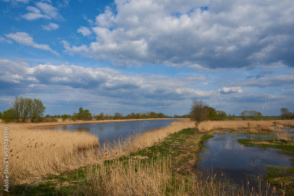 Teichland Linum im Frühjahr in Brandenburg Teichland Linum im Frühjahr in Brandenburg