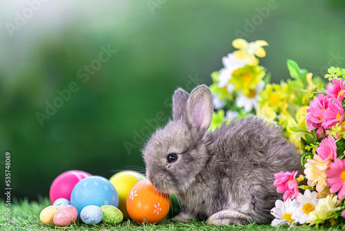 Lovely bunny easter fluffy new born baby white rabbit on colorful flowers and easter eggs on green garden nature background on warmimg day. Animal symbol of easter day festival. photo