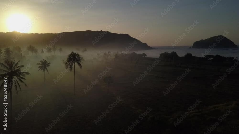 Dramatic sunrise fog shadows silhouette palm trees on Lombok beach Dramatic sunrise fog shadows silhouette palm trees on Lombok beach