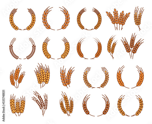 Laurel wreath, cereal wheat ears and spikes, organic farm product vector emblems. Laurel wreath of wheat, rye or oat ear spikes for bakery, bread flour or cereal food and farm organic products
