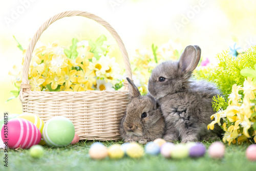 Lovely bunny easter fluffy new born baby white rabbit on colorful flowers and easter eggs on green garden nature background on warmimg day. Animal symbol of easter day festival. photo