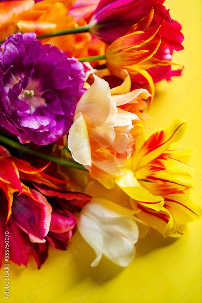 nice spring flowers - colorful tulips
