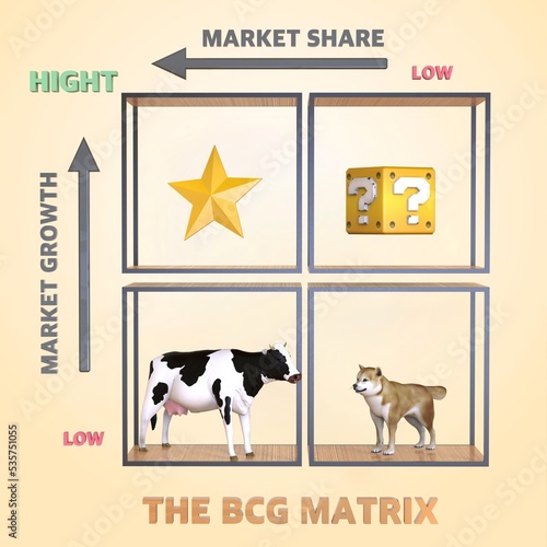 Obraz na plátně BCG Matrix
