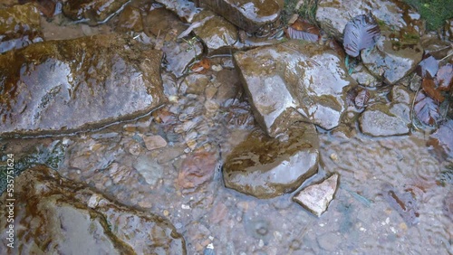 spring among the stones
