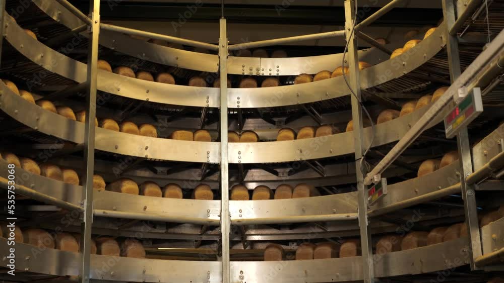 Baked white bread in layers of conveyors in a bakery factory Baked white bread in layers of conveyors in a bakery factory