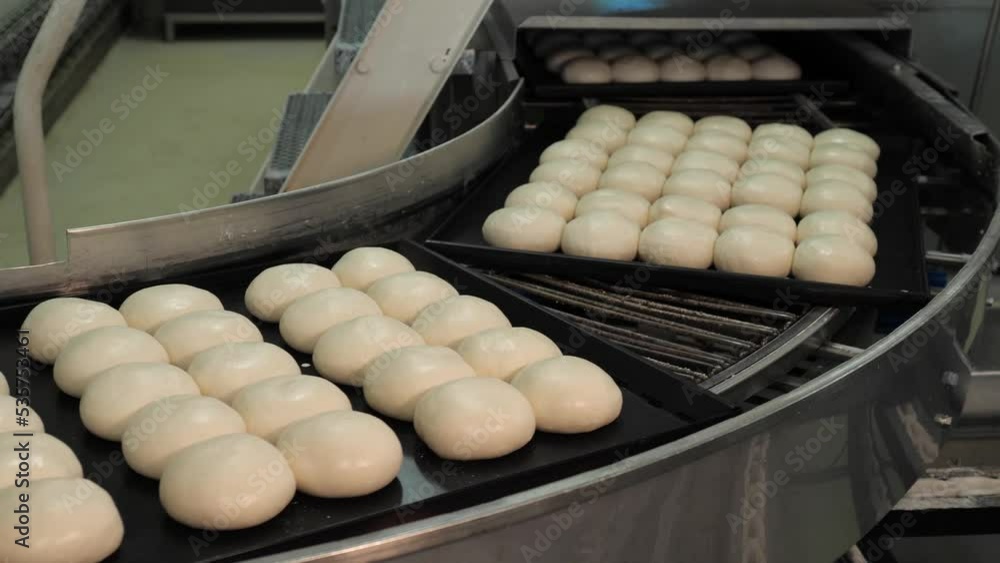 Leavened Bread and rolls on a baking tray on the conveyor belt in a bakery factory Leavened Bread and rolls on a baking tray on the conveyor belt in a bakery factory