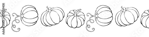 Vector edging, ribbon, border from outline pumpkins in doodle style. Autumn seamless pattern, ornament, decorative element, decoration for seasonal design, Thanksgiving
