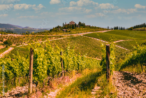 Chianti vineyard landscape in Tuscany  Italy