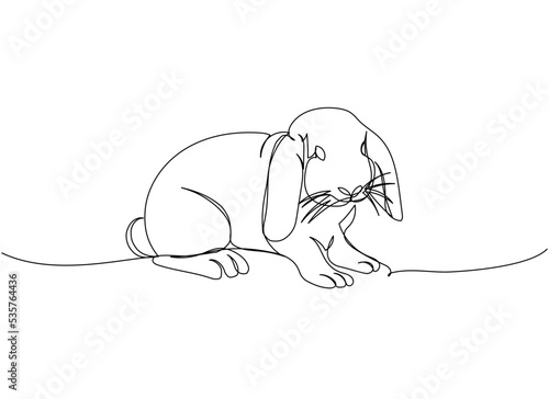 Rabbit, bunny one line art. Continuous line drawing of pet, mammal, breed, zodiac, china, oriental, domestic, easter, bunny, animal, year new, 2023, hare.