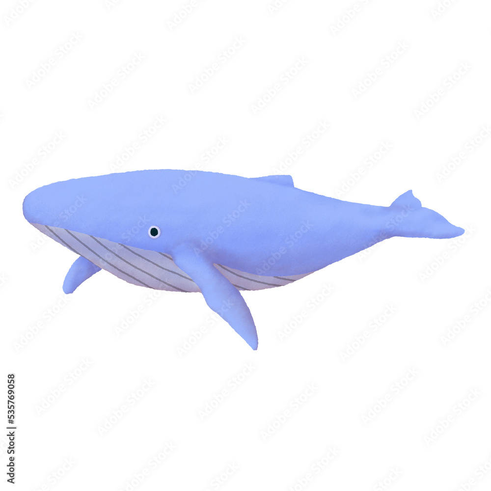 Fototapeta premium whale marine life digitally drawn illustration PNG