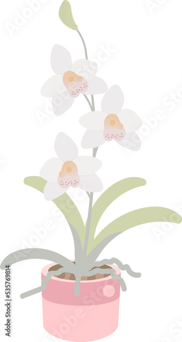 white orchid flower pot plant collection flat style