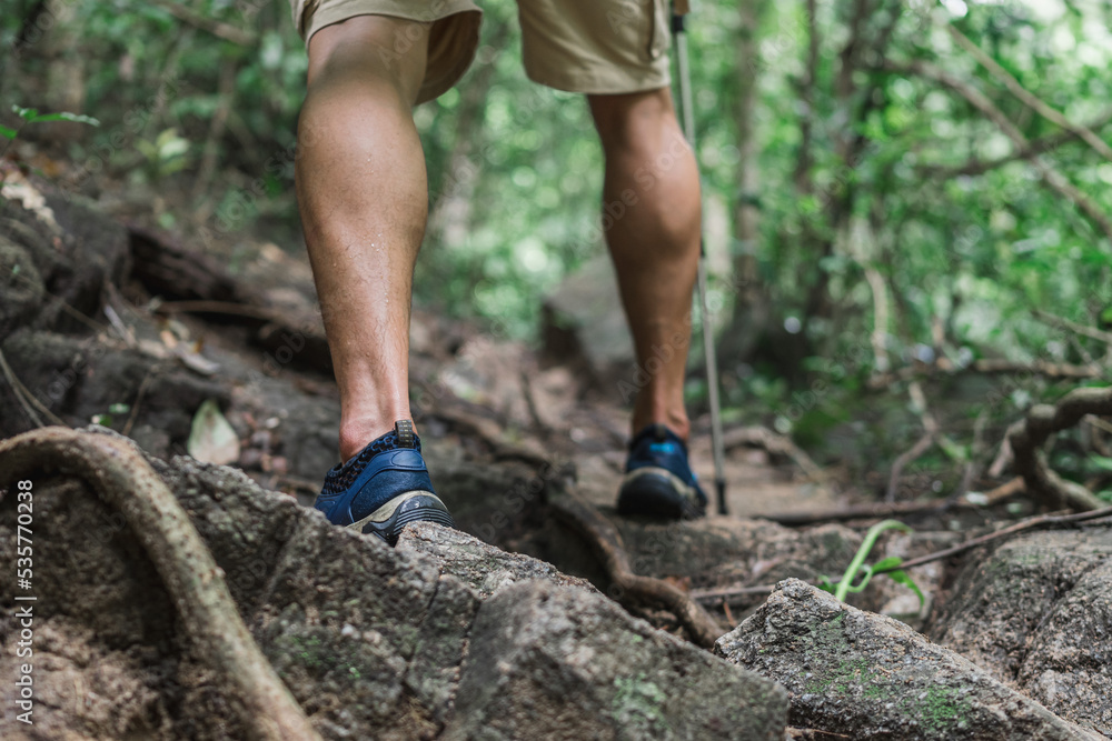 Close up legs of traveler is walking in the green jungle. Travel, Hiking, Trekking concept. Close up legs of traveler is walking in the green jungle. Travel, Hiking, Trekking concept.