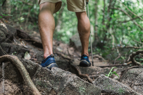 Close up legs of traveler is walking in the green jungle. Travel, Hiking, Trekking concept.