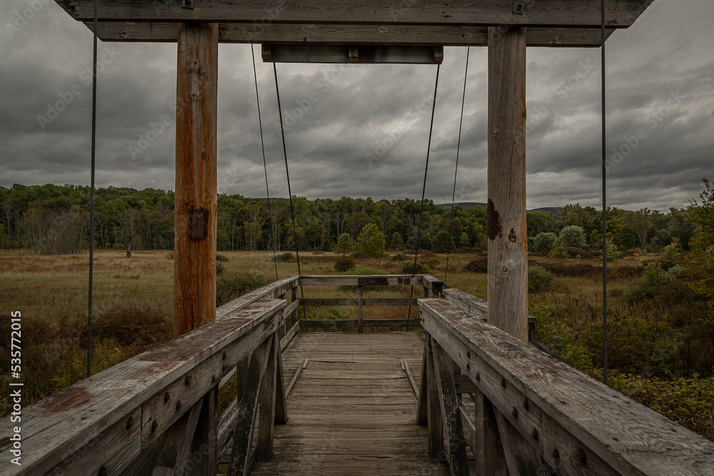 Suspension bridge along the  Appalachian Trial in New Jersey