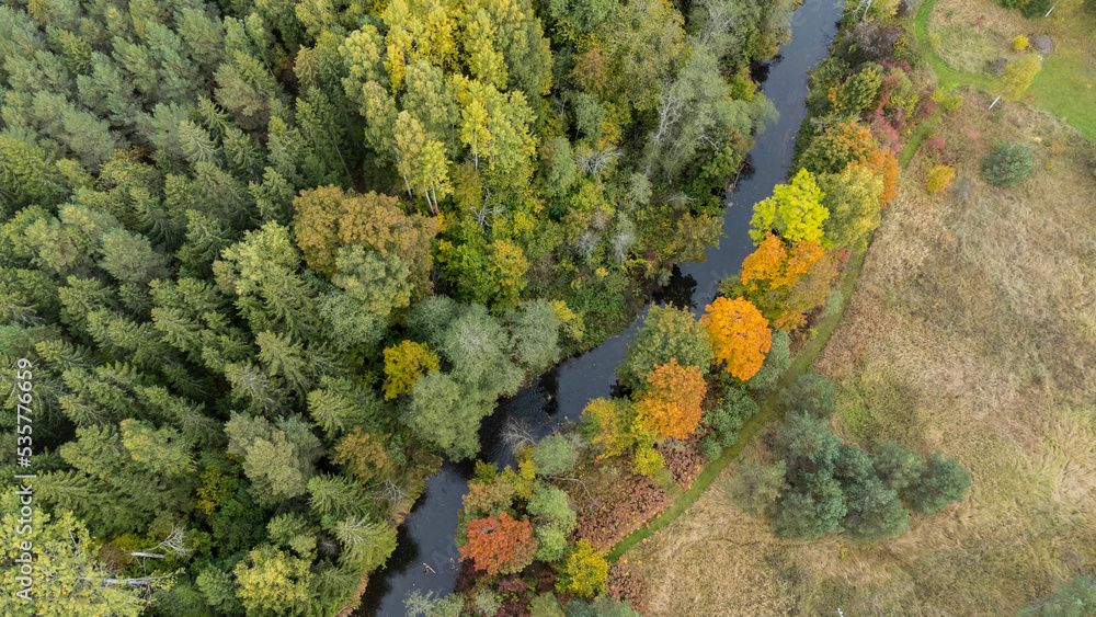 forest and river at sunset in autumn. Aerial view of wildlife in Latvia, Europe