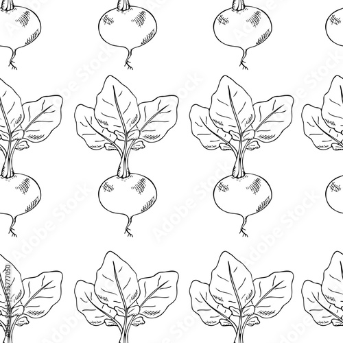 seamless colorless pattern with radish, contour drawing by hand, hatching