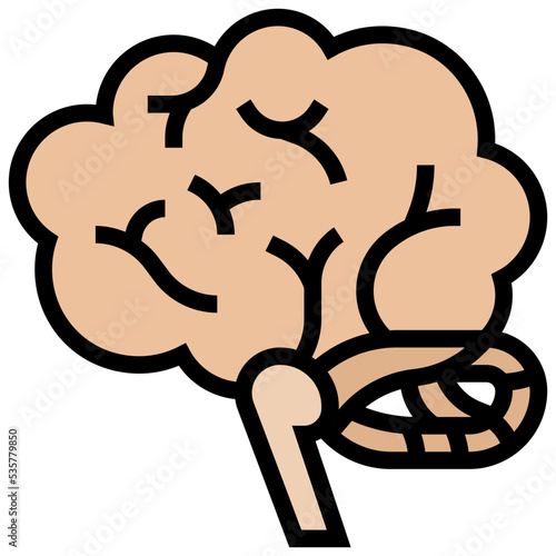 Brain icon