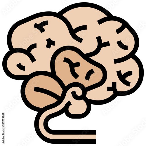 Brain icon