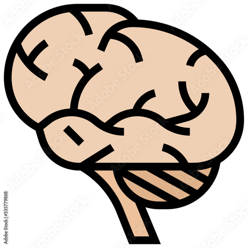 Brain icon