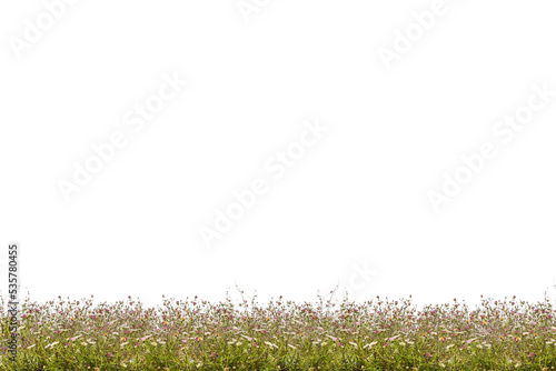 Flower meadow png as background or overlay for your works.