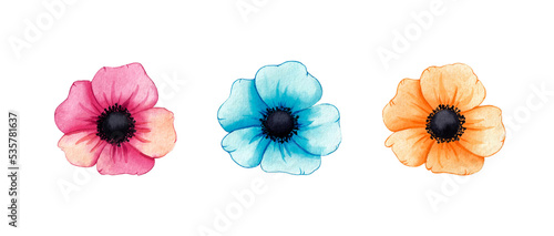 Set of watercolor Flowers. Hand drawn illustration isolated on white background