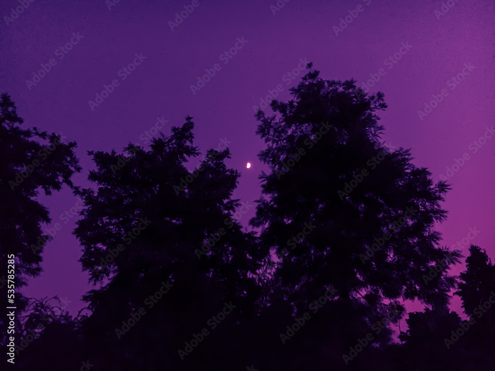 night sky night sky