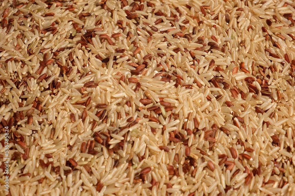 Dry Red and Long Brown Rice Wallpaper. Close Up. Grains fall poured a stack. World crisis, export, import. Harvest problems, sanctions. Increase prices and shortages of food supplies
