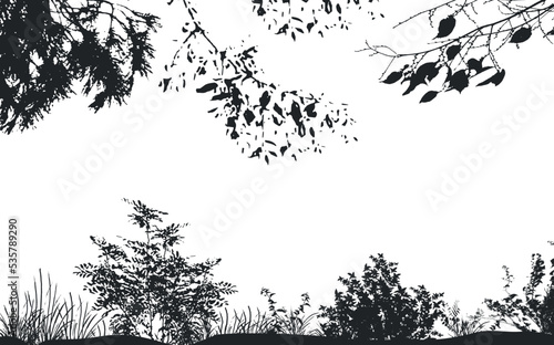 Vector background of realistic branches, a silhouette of bare dry twigs,bushes and withering autumn nature.