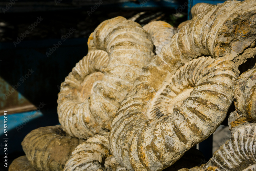 fosiles a la venta en el zoco, Chefchauen, -Chauen-, Marruecos, norte de Africa, continente africano fosiles a la venta en el zoco, Chefchauen, -Chauen-, Marruecos, norte de Africa, continente africano