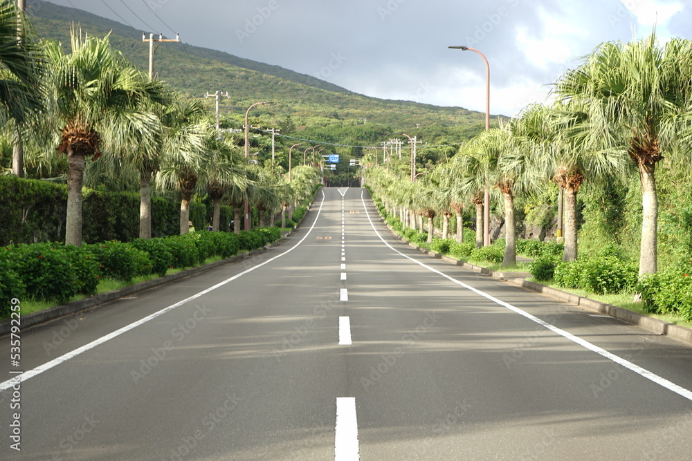 Hachijo Round Road in Hachijo-jima, Tokyo, Japan - 日本 東京 八丈一周道路