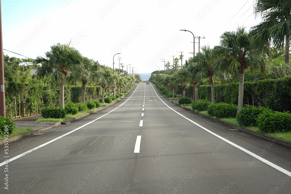 Fototapeta premium Hachijo Round Road in Hachijo-jima, Tokyo, Japan - 日本 東京 八丈一周道路