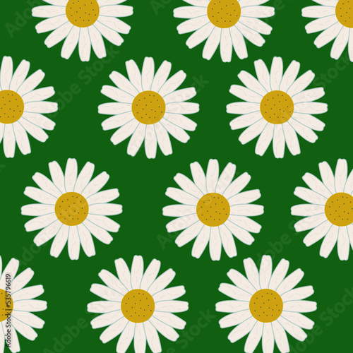 pattern chamomile green background flowers white petals