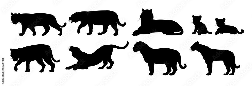 Fototapeta premium Set of male and female lions with cubs. Predator Wild animals. Silhouette figures. Isolated on white background. Vector.