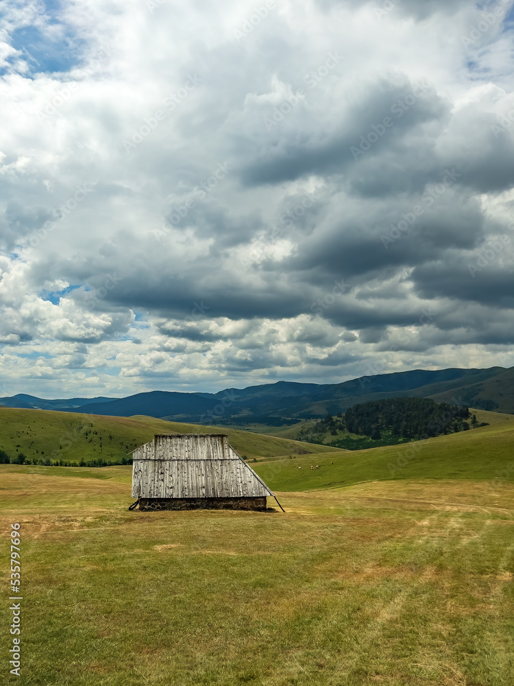 Abandoned old shepherd cottage on pasture land hill in Zlatibor region in Serbia with cows in the background