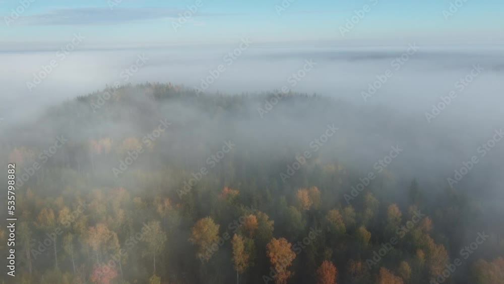 The forest hills are shrouded in thick fog. Autumn time. drone video The forest hills are shrouded in thick fog. Autumn time. drone video
