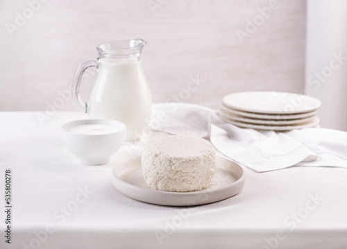 Cottage cheese  cream  milk in a light bowl on a white table