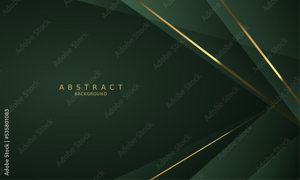 dark green luxury premium background and gold line. dark green luxury premium background and gold line.